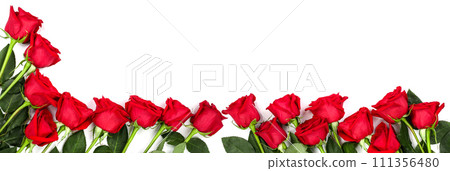 beautiful red rose with leaves isolated on white background with copy space for your text. Top view. Flat lay pattern 111356480