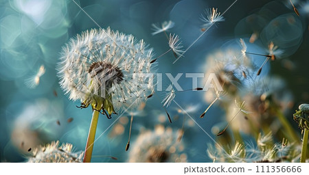 AI-generated content. Dandelions flowers field. Dandelion seeds blowing on blue background. AI-generated content. Dandelions flowers field. Dandelion seeds blowing on blue background. 111356666