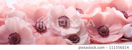 AI-generated content. Blush Anemone, romantic palette, St Valentine's day concept background 111356814