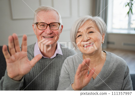 Happy senior woman man talk on video call with friends family. Mature old grandmother grandfather talking speaking with grown up children online. Older generation modern tech usage. Webcamera view 111357997