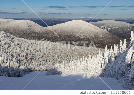 Mont Tremblant Majestic Winter Panorama: Snow-Blanketed Mountains Embrace the Serenity of Quebec. Mont Tremblant Pristine Ski Slope and Snow-Covered Pines: A Winter Haven for Skiers and Snowboarders 111358605