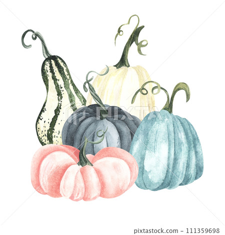Watercolor blue and white pumpkin composition, floral pumpkins, Halloween clip art, autumn design elements, fall arrangement, Harvest clip art isolated on white background. Watercolor blue and white pumpkin composition, floral pumpkins, Halloween clip art, autumn design elements, fall arrangement, Harvest clip art isolated on white background. 111359698