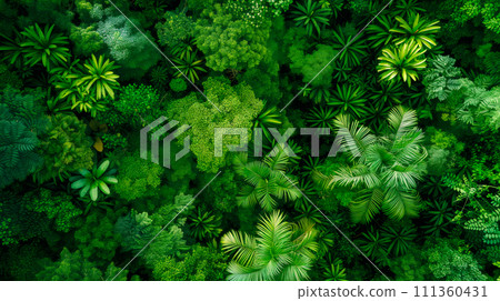 Green recycling symbol overlapping a lush forest canopy to represent environmental sustainability Green recycling symbol overlapping a lush forest canopy to represent environmental sustainability 111360431