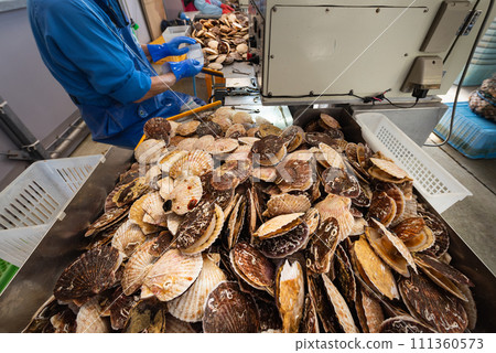 扇貝自動掛耳機鑽孔鑽頭更換調整工作 111360573