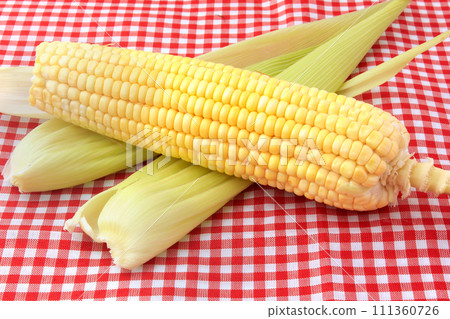 raw and fresh corn on the cob isolated on checkered fabric. Copy Space. 111360726