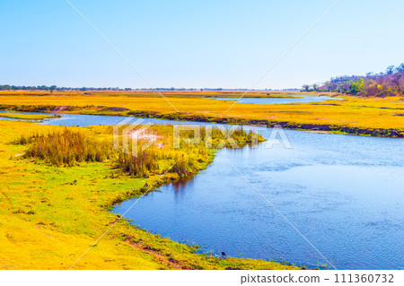 Landscape at Chobe River in Caprivi strip. Namibia, Africa Landscape at Chobe River in Caprivi strip. Namibia, Africa 111360732
