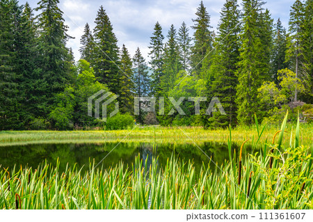 Vrbicke glacial lake and the largest natural lake in Low Tatras, Slovakia Vrbicke glacial lake and the largest natural lake in Low Tatras, Slovakia 111361607