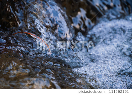 停滯中漂浮的小冰滴和泡沫[薩奇里峽谷] 111362191