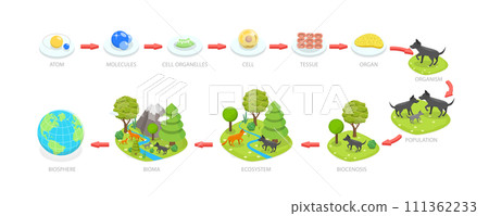 3D Isometric Flat Conceptual Illustration of Living World Biosphere, Labeled Ecosystem Explanation Scheme Outline 3D Isometric Flat Conceptual Illustration of Living World Biosphere, Labeled Ecosystem Explanation Scheme Outline 111362233