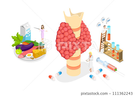 3D Isometric Flat  Conceptual Illustration of Hypothyroidism, Thyroid Gland Examination 111362243