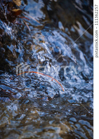 Small ice splashes and river flow [Sakiri Gorge] 111362257