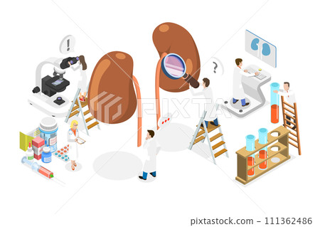 3D Isometric Flat  Conceptual Illustration of Urology and Nephrology, Kidney Healthcare 111362486