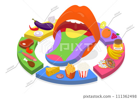 3D Isometric Flat Conceptual Illustration of Human Five Tastes, Tongue Receptor Zones 3D Isometric Flat Conceptual Illustration of Human Five Tastes, Tongue Receptor Zones 111362498