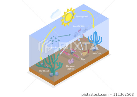 3D Isometric Flat Conceptual Illustration of Plankton Life, Ocean Food Chain 3D Isometric Flat Conceptual Illustration of Plankton Life, Ocean Food Chain 111362508