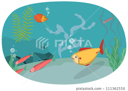 3D Isometric Flat Set of Aquarium Life, Ocean Underwater World 3D Isometric Flat Set of Aquarium Life, Ocean Underwater World 111362558