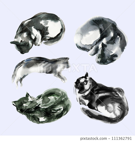 Set of abstract cat sketch, animal print stains, beautiful shapes, pastel color palette. Watercolor illustration of sleeping, lying, playing pet 111362791