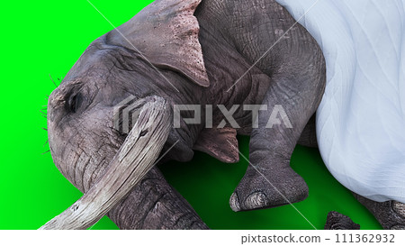 elephant sleeps under a blanket. 3d rendering. elephant sleeps under a blanket. 3d rendering. 111362932