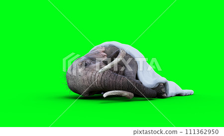 elephant sleeps under a blanket. 3d rendering. elephant sleeps under a blanket. 3d rendering. 111362950