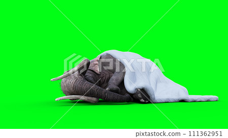 elephant sleeps under a blanket. 3d rendering. elephant sleeps under a blanket. 3d rendering. 111362951