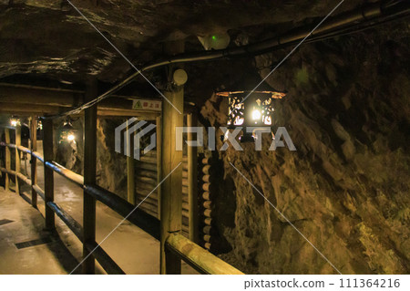 Toi cherry blossoms in full bloom at Toi Kanayama Toi cherry blossoms in full bloom at Toi Kanayama 111364216