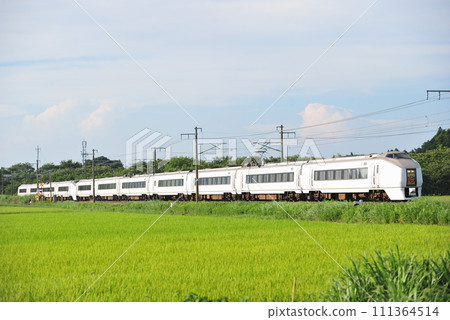 常磐線羽取岩間 JR 東日本 651 系列 K106 編組(勝田)超級日立 常磐線羽取岩間 JR 東日本 651 系列 K106 編組(勝田)超級日立 111364514