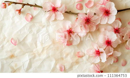 春天,柔軟的櫻花花瓣散落在漆成白色的木頭上。輕鬆的日本和諧形象。 春天,柔軟的櫻花花瓣散落在漆成白色的木頭上。輕鬆的日本和諧形象。 111364753