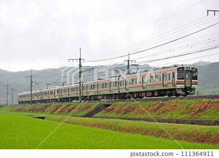 中央幹線瑞波灶戶 JR 東海 211 系列 K101 編組（新領） 111364911