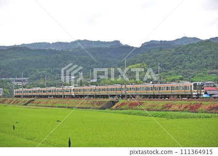 中央幹線瑞波灶戶 JR 東海 211 系 + 313 系 K4+B3 編組（新領） 111364915