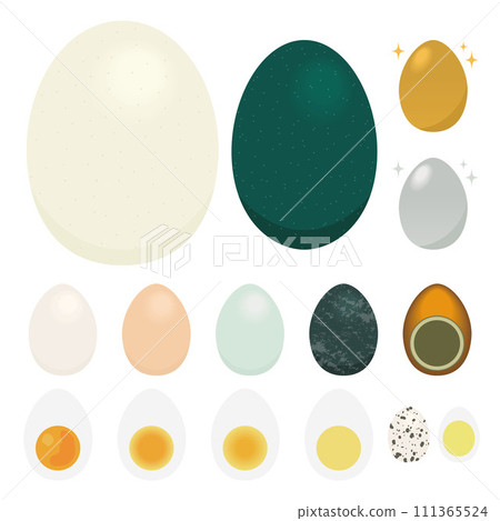 各種雞蛋的插圖 111365524