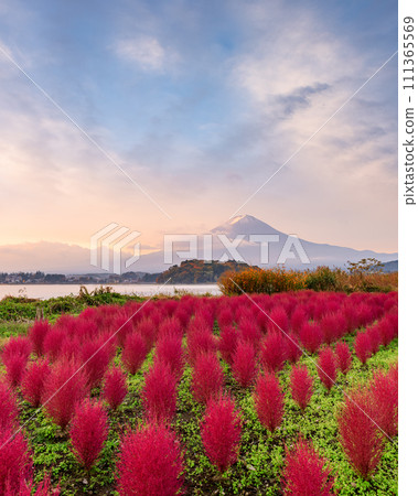 Fuji Mountain, Japan with Autumn Foliage Fuji Mountain, Japan with Autumn Foliage 111365569
