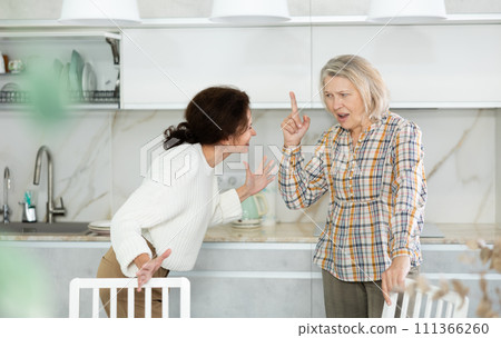 Domestic quarrel - elderly mother quarrels with her adult daughter and starts screaming 111366260