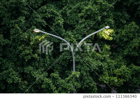 street light woods 111366340