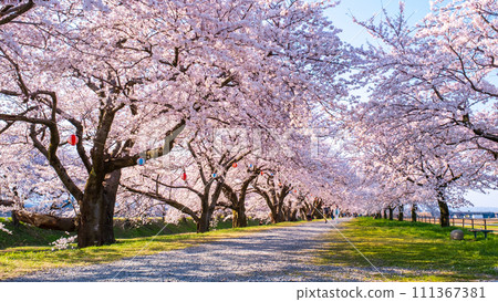 旭船川河 111367381