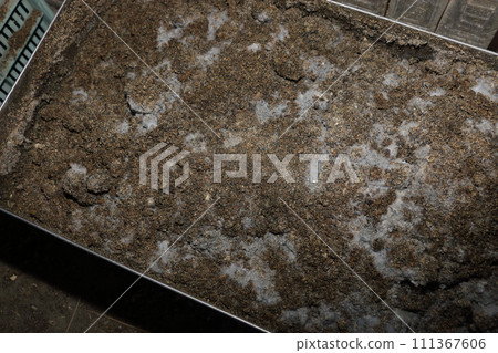 Bokashihi 發酵進行中 Bokashihi 發酵進行中 111367606