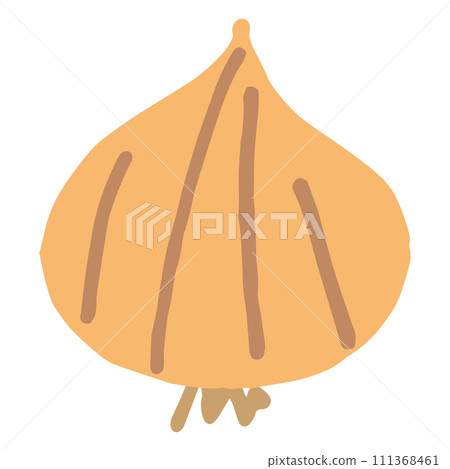 Illustration of onion (no name) 111368461
