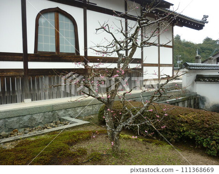 Sanmon gate and plum tree in Sesshu Garden 111368669