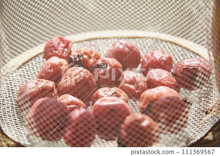 Umeboshi being dried on a drying net 111369567