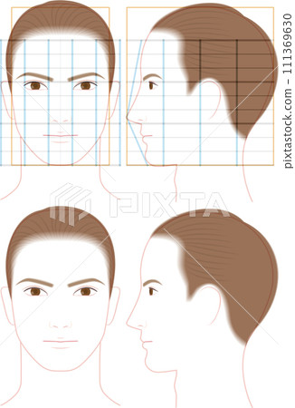 The profile and front face of a man with a dignified impression. illustration of face proportions 111369630