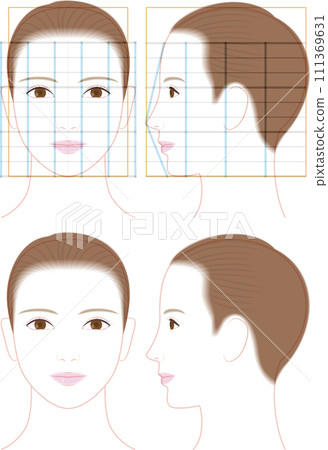 一個可愛的女人的輪廓和前臉。臉部比例插畫 111369631