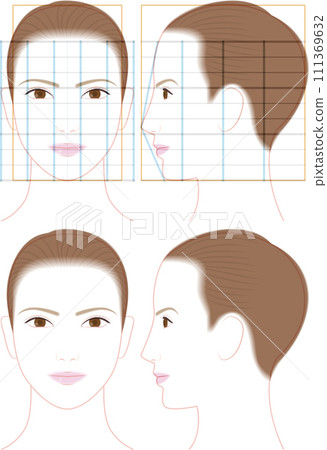 Profile and front face of a beautiful woman. illustration of face proportions Profile and front face of a beautiful woman. illustration of face proportions 111369632