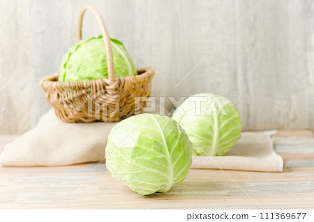 cabbage in the basket 111369677