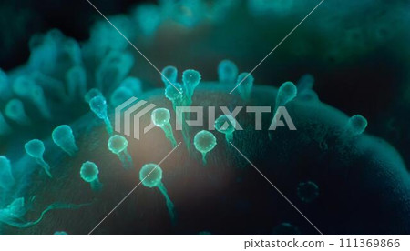Bacteria that cause food poisoning Bacteria that cause food poisoning 111369866