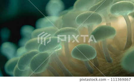 Bacteria that cause food poisoning 111369867