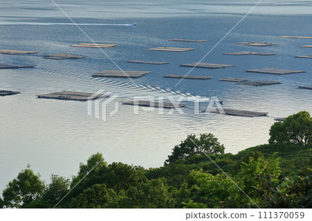 Oyster raft floating on the calm Seto sea Oyster raft floating on the calm Seto sea 111370059