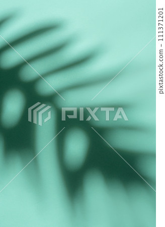 Shadows from palm leaves 111371201