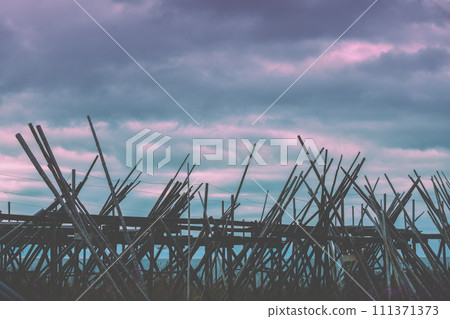 Wooden rack for air-drying fish against cloudy sunset sky. Fishing village, Lofoten Islands, Norway Wooden rack for air-drying fish against cloudy sunset sky. Fishing village, Lofoten Islands, Norway 111371373