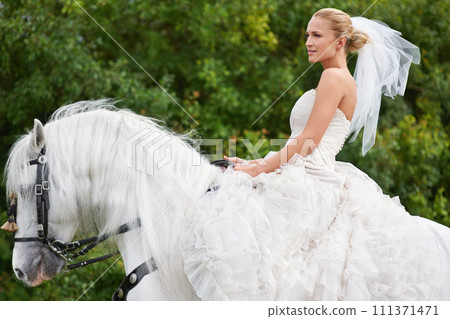Wedding, woman and riding with horse outdoor or thinking for celebration, marriage and confidence in countryside. Bride, person and stallion on lawn in field with smile, dress and animal at ceremony Wedding, woman and riding with horse outdoor or thinking for celebration, marriage and confidence in countryside. Bride, person and stallion on lawn in field with smile, dress and animal at ceremony 111371471