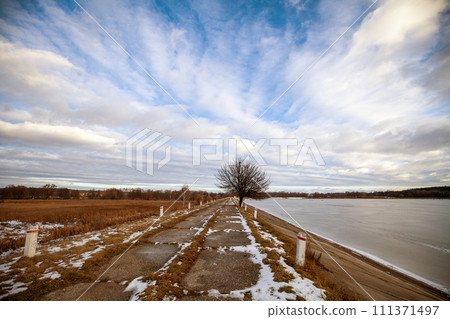 Single tree on a dam on a frozen lake. Winter landscape Single tree on a dam on a frozen lake. Winter landscape 111371497