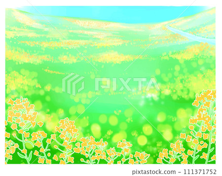春天的油菜花田 春天的油菜花田 111371752