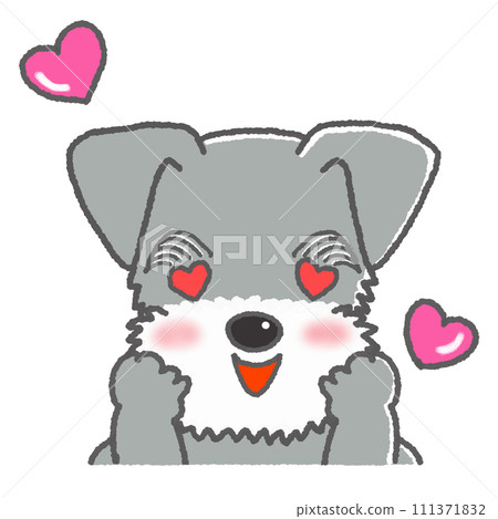 Illustration of a miniature schnauzer with a dreamy expression Illustration of a miniature schnauzer with a dreamy expression 111371832